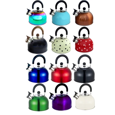 Whistling Kettle Stovetop Gas Electric Induction Hobs Stainless Steel 12 Colours • £11.99