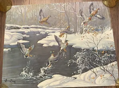 VTG Art Print Mallard Ducks In Flight Heading South By Louis Darling Water Woods • $12.95