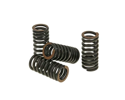£27.39 • Buy Vespa GT 125 L Malossi Titanium Valve Spring Set For Sport City DNA Runner X7...