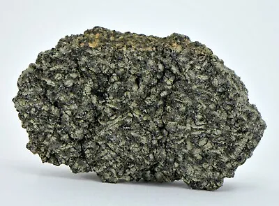 19.03g Martian Meteorite Shergottite Stunning Slice I NWA 16136 - TOP METEORITE • $7200