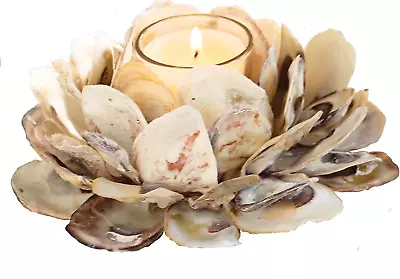 Mud Pie 498B002 Oyster Shell Votive Holder 3 1/4  X 7  • $26.70