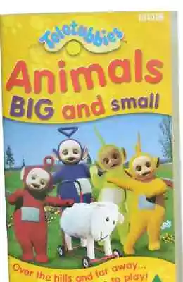 Teletubbies Vhs Pal Video Animals Big And Small Rare Bbc Kids • $29.95