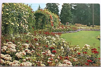 Canada British Columbia Vancouver Stanley Park Rose Garden Postcard Old Vintage • $0.50