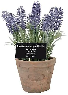 Fallen Fruits Artificial Lavender In Terracotta Pot (Size L) • £12.57
