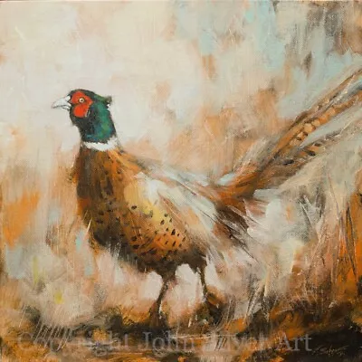 PHEASANT FINE ART PORTRAIT ORIGINAL PAINTING 12 X 12 Inches By JOHN SILVER BA • £56