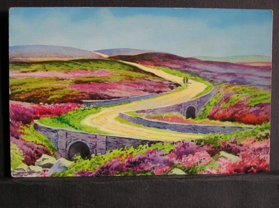 £1.39 • Buy ARTIST POSTCARD - ELLER BECK - GOATHLAND MOOR - NORTH YORKSHIRE - C. 1955