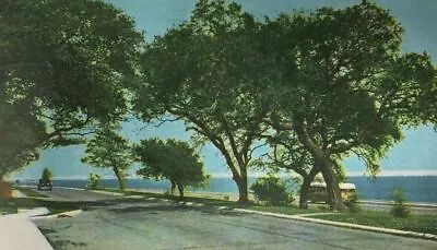 1942 Four Lane Highway Mississippi Gulf Coast Postcard • $18.50