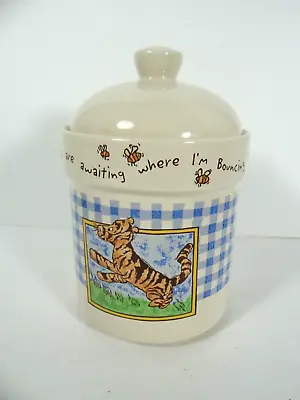 Treasure Craft Disney Tigger Treat Cookie Canister Blue Gingham • $29.99