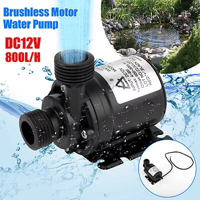 $13.99 • Buy Mini Water Pump 800 L/H 12V High-Pressure Small Brushless Submersible Automatic-