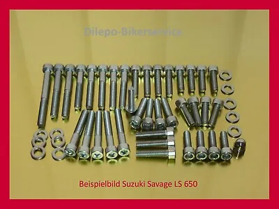 $33.23 • Buy Suzuki Savage LS650 LS 650 Super Stainless Steel Bolts Screws Motor Engine Cover