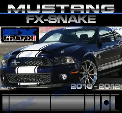 2010 - 2012 Ford Mustang Snake Style Super Stripes 18  With Pin Stripe Kit  • $209.95