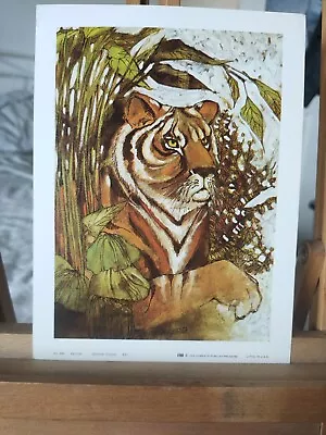 Serene Tiger Art Print By Lawrence Reiter 1976 5x7 Inches  • £10