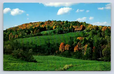 Vintage Postcard Vermont Rolling Hills Maple Trees • $4