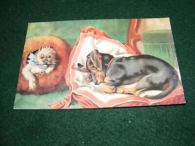 Vintage Postcard Art Dogs Sleeping Dachshund Terrier Bed Cushion • £5.99