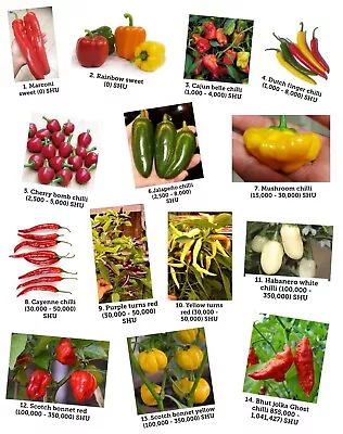 £5.98 • Buy Chilli, Mixed Chilli. Sweet To Volcanic X 25 Seeds. Mixture Of Varieties. 