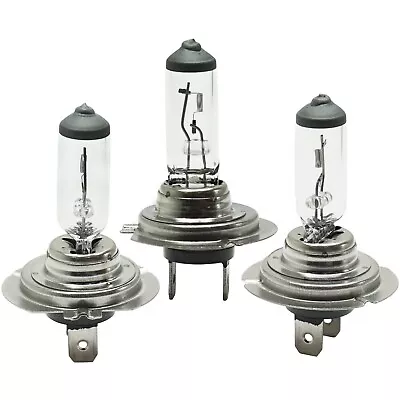 Set Of 3 Head Light Driving Headlamp Headlight Bulbs  Driver & Passenger Side • $14.07