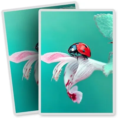 2 X Vinyl Stickers 7x10cm - Pretty Ladybird Flower Ladybug Bug  #13164 • £3.99