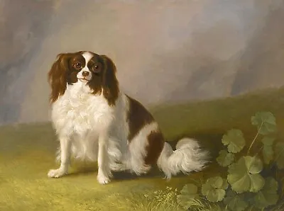 Oil Jakob-Philipp-Hackert-Portrait-of-a-King-Charles-spaniel-in-a-landscape Dog • $80.99