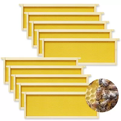 10pcs Assembled National Brood Bee Hive Frames，Super Bee Hive Frames Foundation • £35.95