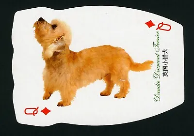 £1.50 • Buy Dandie Dinmont Terrier  Single Large Novelty Dog Collectable Playing Card