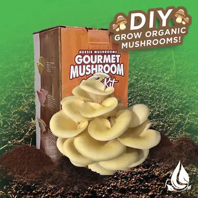 Aussie Mushrooms Edible Gourmet Grow Kit • $55