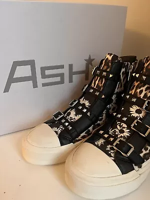 £38 • Buy Ash Concept, Daisy/Grunge/Black/Ganja  Sneaker, Boots. Size 6