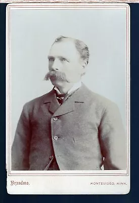 Cabinet Card Of Unidentified Man With Thick Trimmed Mustache. Montevideo Minn • $5