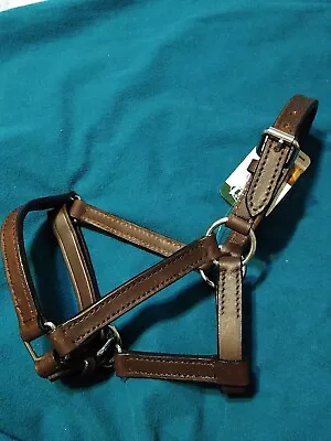 Quality Brown Leather Horse Halter Large Miniature Horse Or Weanling Foal  • $22