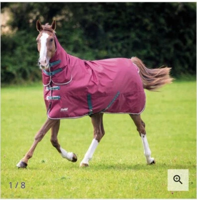 Copricollo Shires Highlander Originale 300g - Per Cavalli, Affluenza