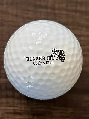 Vintage Collectible Logo Golf Ball Bunker Hills Coon Rapids Minnesota MN • $4.99