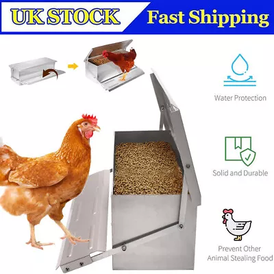 Outdoor Automatic Treadle Chicken Poultry Chook Feeder Self Opening Ratproof • £23.50