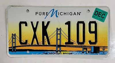 MICHIGAN MACKINAC BRIDGE & SUNSET License Plate ~ CXK 109 ~🔥FREE SHIPPING🔥 • $19.99