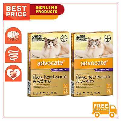 ADVOCATE Flea Heartworm Control For Cats Over 4 Kg PURPLE Pack 12 Pipettes • $165.97