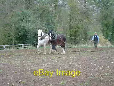 Photo 6x4 Horses Ploughing At Acton Scott Working Farm Museum  C2004 • £2