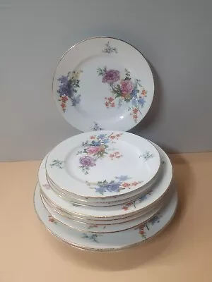 EPIAG 5748 Czechoslovakia White Background/ Set Of 10 Various Plates Used  • $38