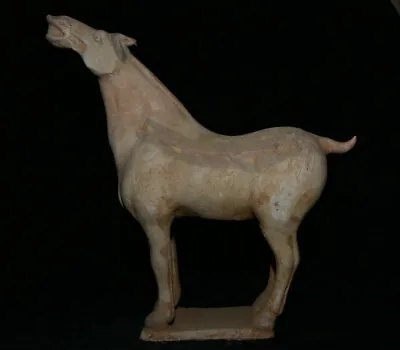 13.6  Old Chinese Tang Sancai Pottery Fengshui 12 Zodiac Horse Lucky Sculpture • £288