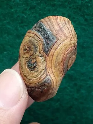 36mm Natural Gobi Agate Eye Agate Stone Suiseki-viewing Collection Specimen • $24.70