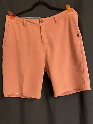 Quicksilver Amphibian Shorts 36 • $14