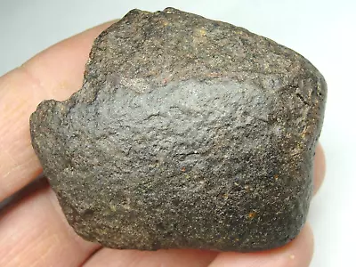 Meteorite - Oriented - Top Quality - Rare Orientation - SLS-1988 - 123.0g Superb • $61.95