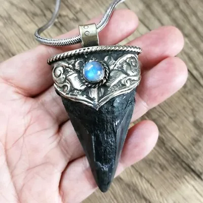 Megalodon Black Shark Tooth Fossil Labradorite Tibet Silver Pendant Necklace • $72