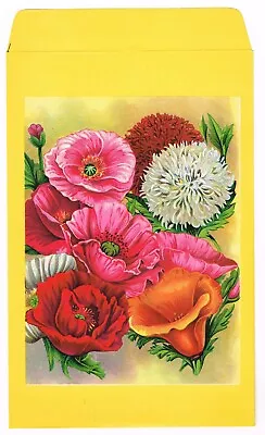 Large Size Original 10x6  Vintage Seed Packet Flower Advertising C1920s Chromo 5 • $11.95