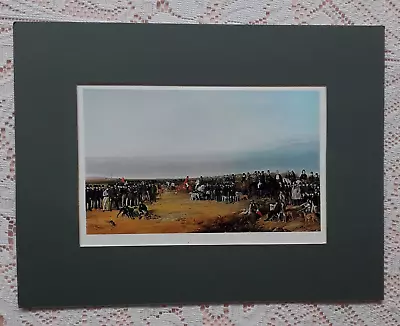 Waterloo Cup 1840 Coursing Greyhound Dog Print After Richard Ansdell Painting • £10