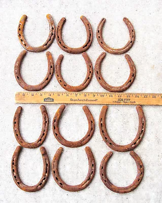 12 Vintage Horse Shoes Equestrian Western Farm Cowboy Ranch Deco Bar Camp Home • $11.50