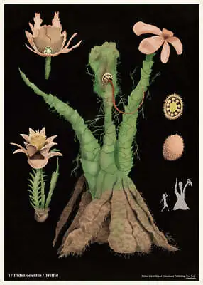 Day Of The Triffids By Max Dalton Ltd Edition X/20 Print Poster Mondo MINT Movie • $110