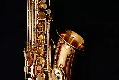 Brand New Factory-Sealed Yanagisawa A-WO20 (AWO20) Bronze Alto Saxophone • $4999