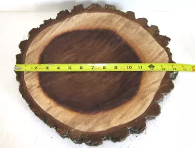 Black Walnut Wood Round Woodworking Taxidermy Unfinished Slab Live Edge Epoxy 01 • $4.99