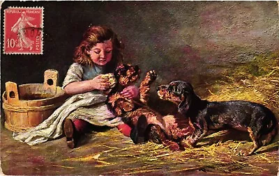 Dogs Girl Bathing A Dachshund With A Sponge Vintage Postcard • £16.53