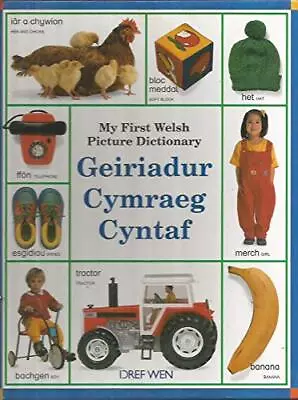 Geiriadur Cymraeg Cyntaf / My Very First Word Book (English And  • $40.22