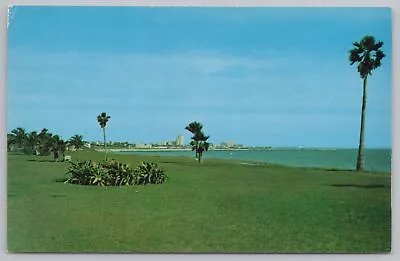 State View~Corpus Christi Texas~Cole Park~City Bkgd~Vintage Postcard • $1.50