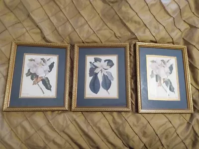 Magnolia Cedar Creek Framed Pictures Size 9x11 In. Set Of 3 • $30